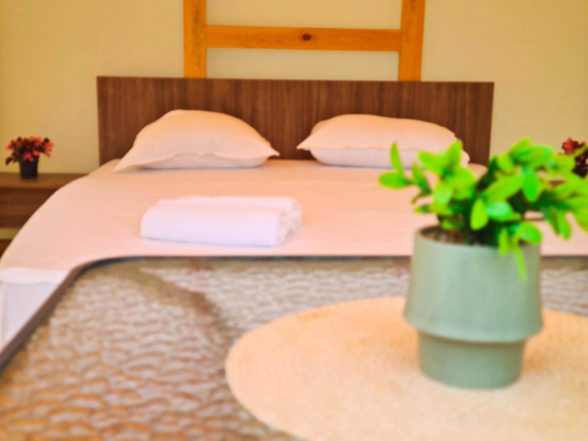 Camping Saint George Topola Buitenkant foto